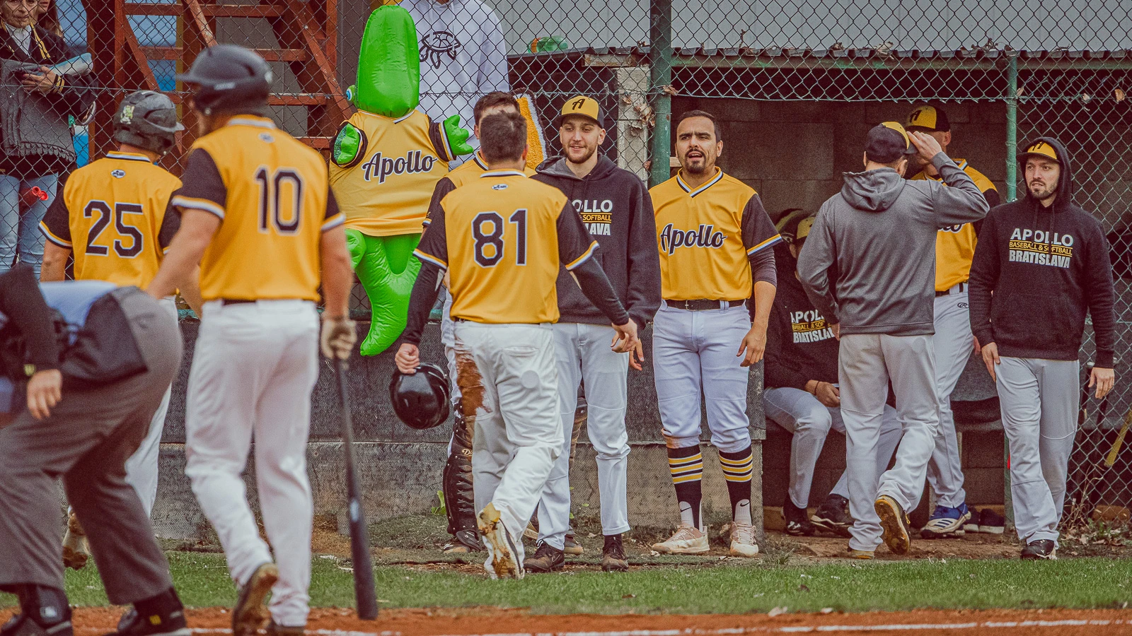 Apollo Bratislava vs Angels Trnava 2024 – baseballová fotografia