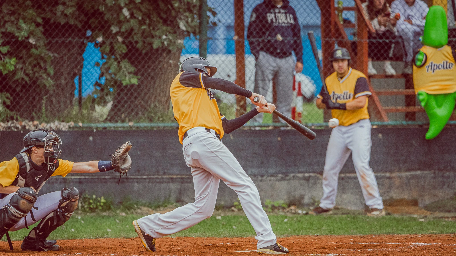 Apollo Bratislava vs Angels Trnava 2024 – baseballová fotografia