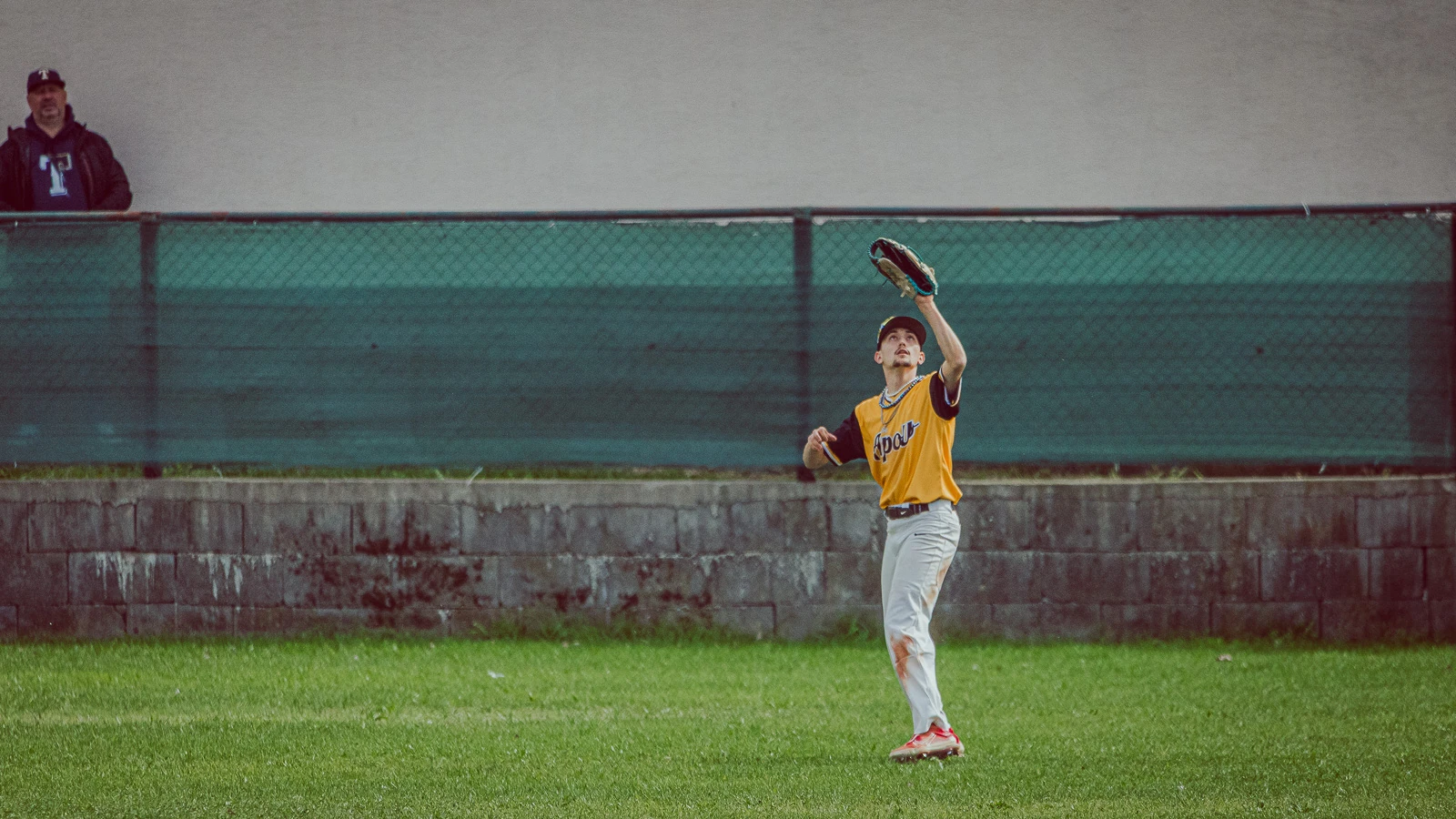 Apollo Bratislava vs Angels Trnava 2024 – baseballová fotografia