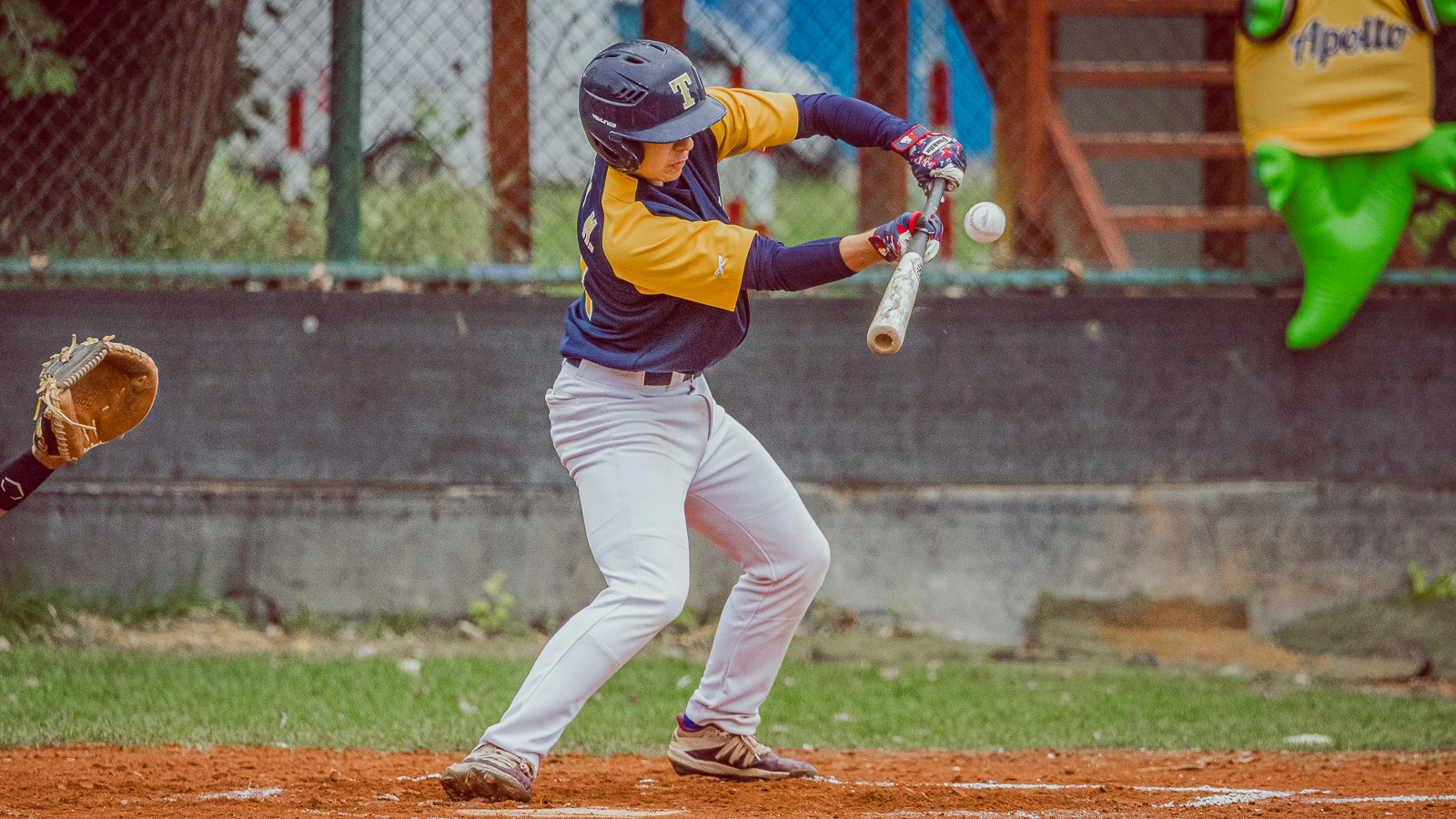 Apollo Bratislava vs Angels Trnava 2024 – baseballová fotografia