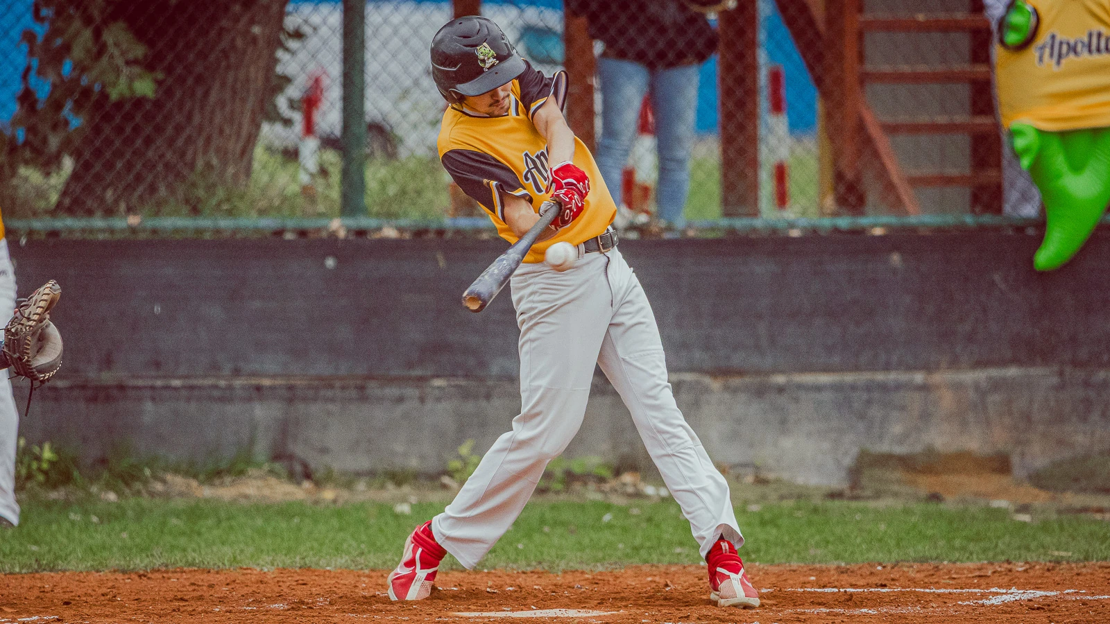 Apollo Bratislava vs Angels Trnava 2024 – baseballová fotografia