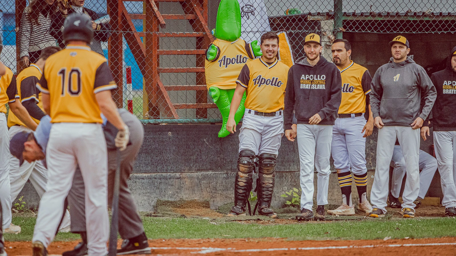 Apollo Bratislava vs Angels Trnava 2024 – baseballová fotografia