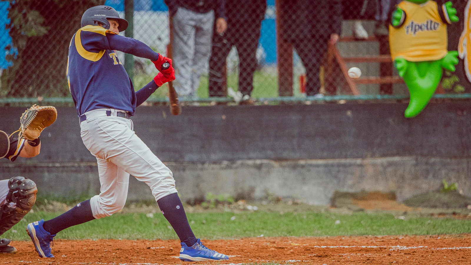 Apollo Bratislava vs Angels Trnava 2024 – baseballová fotografia
