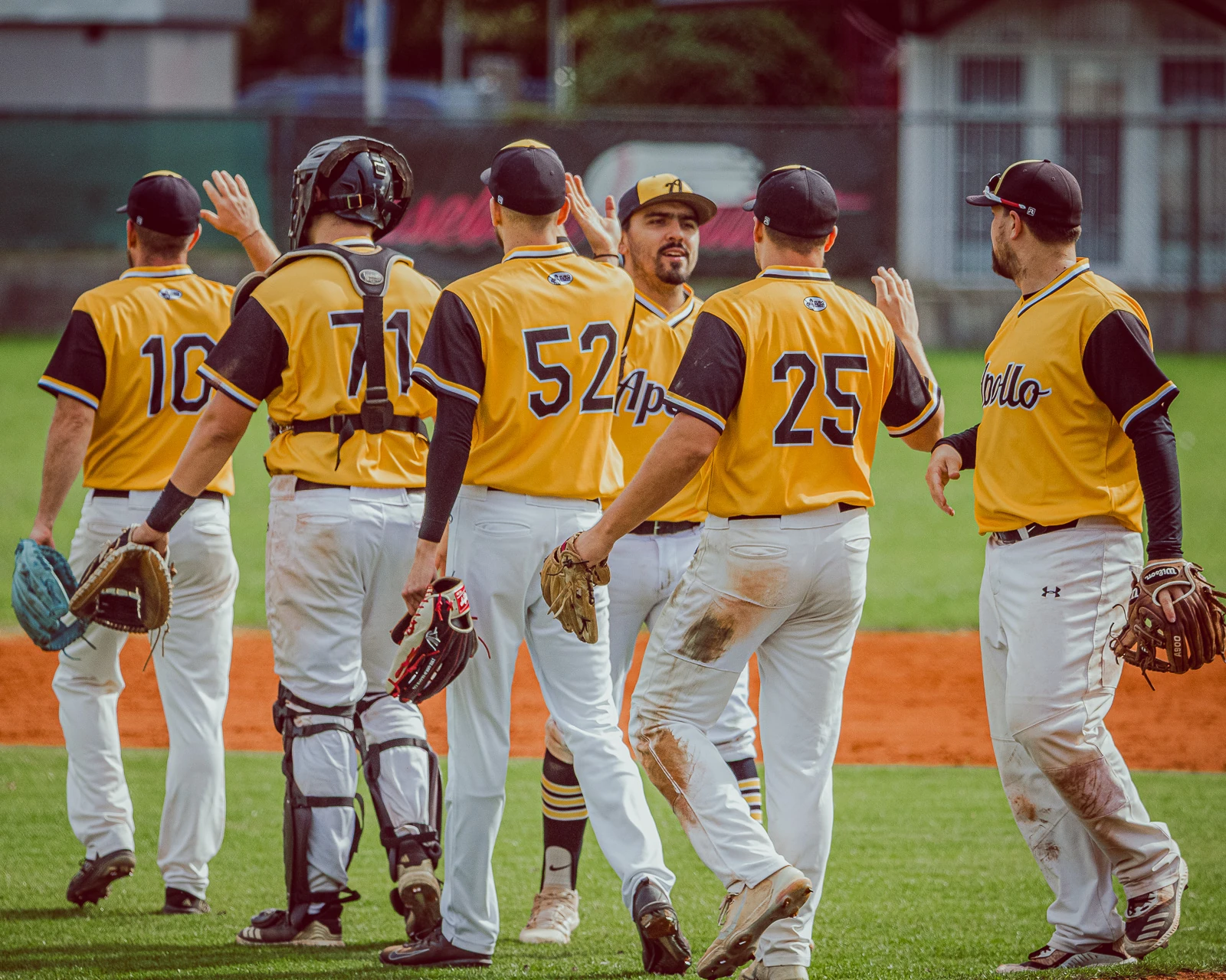Apollo Bratislava vs Angels Trnava 2024 – baseballová fotografia