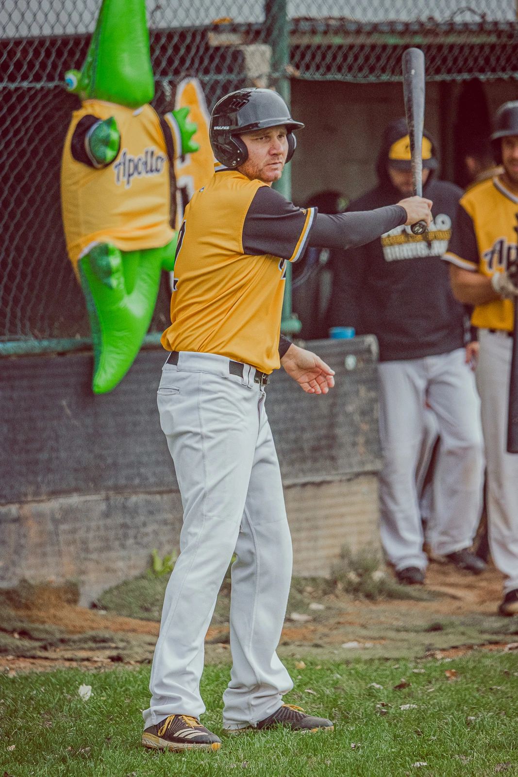 Apollo Bratislava vs Angels Trnava 2024 – baseballová fotografia