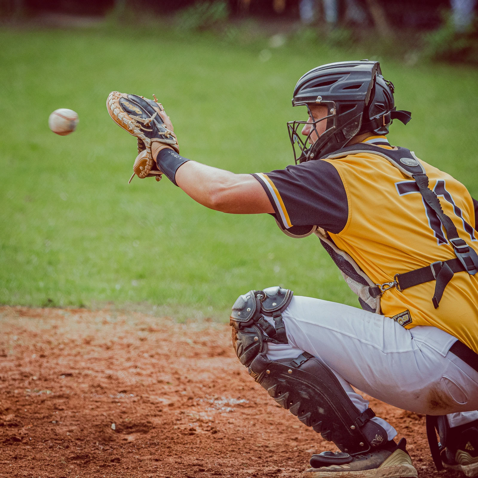 Apollo Bratislava vs Angels Trnava 2024 – finále G3 – baseballová fotografia
