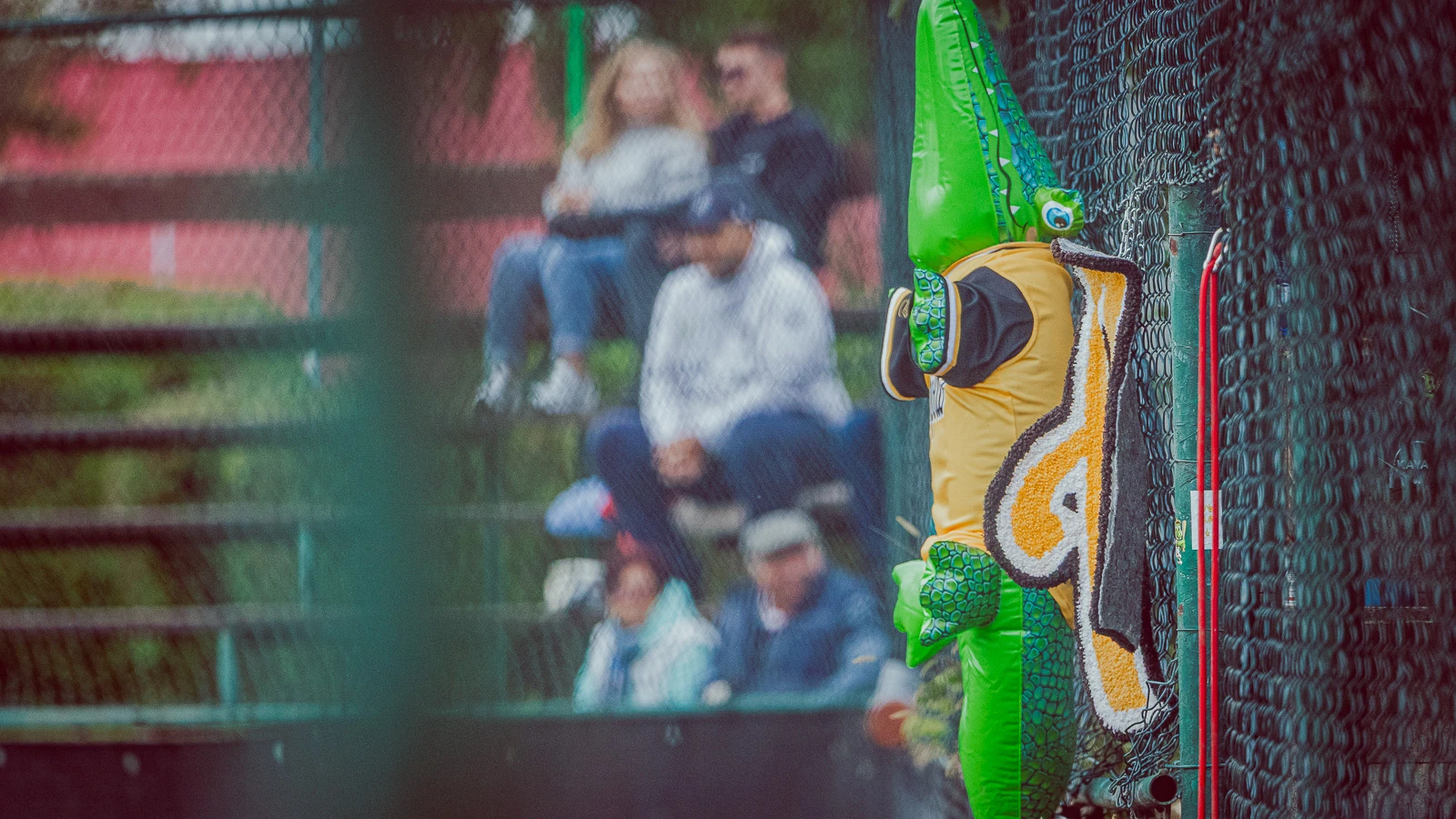 Apollo Bratislava vs Angels Trnava 2024 – finále G3 – baseballová fotografia