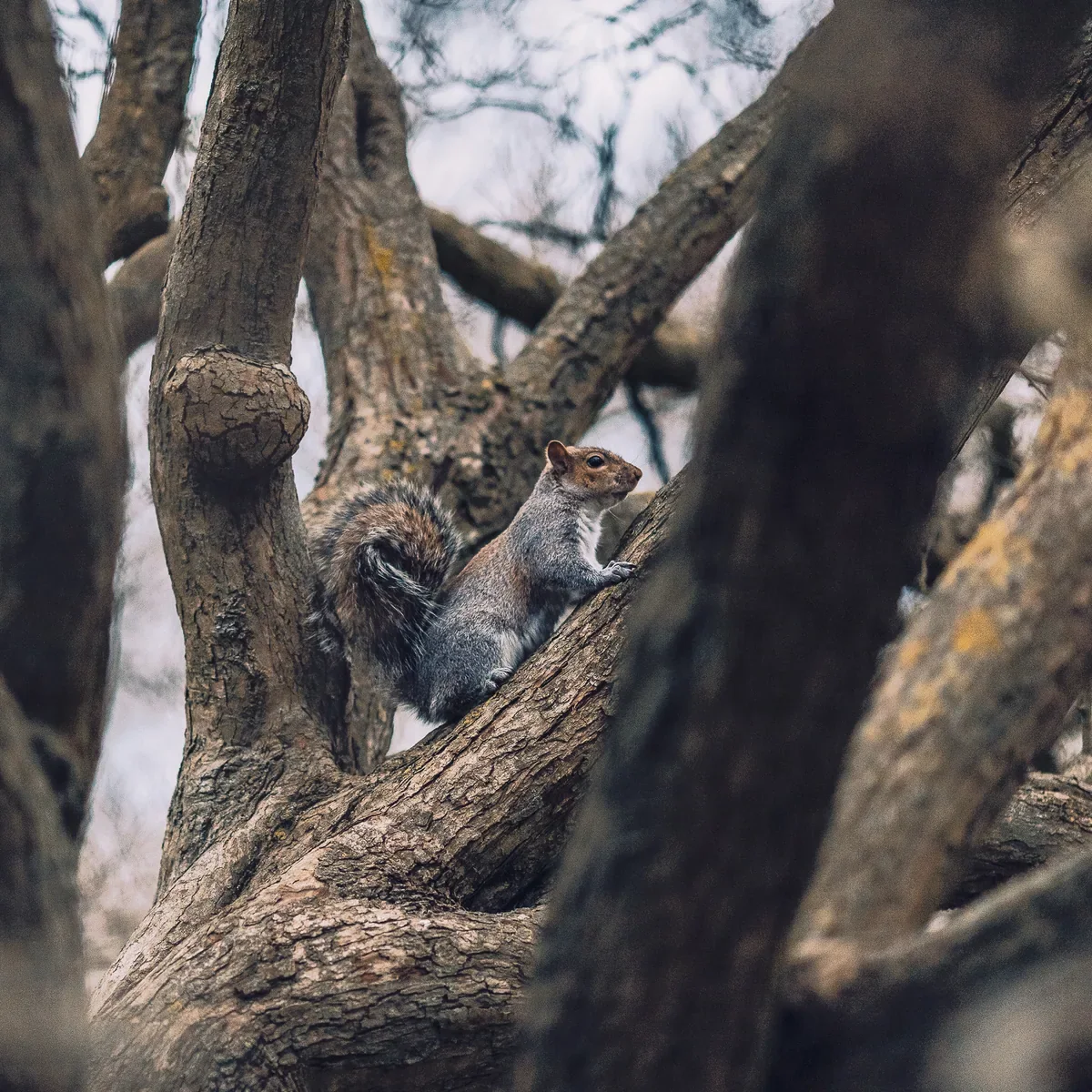 Londýn – fotografia 8